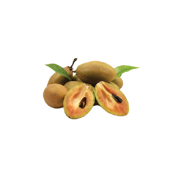 Sapodilla (Chikoo/Sapota)