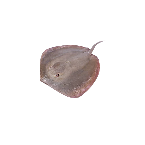 Thirandi (Kanambu/Stingray/Whipray) (500 gm)