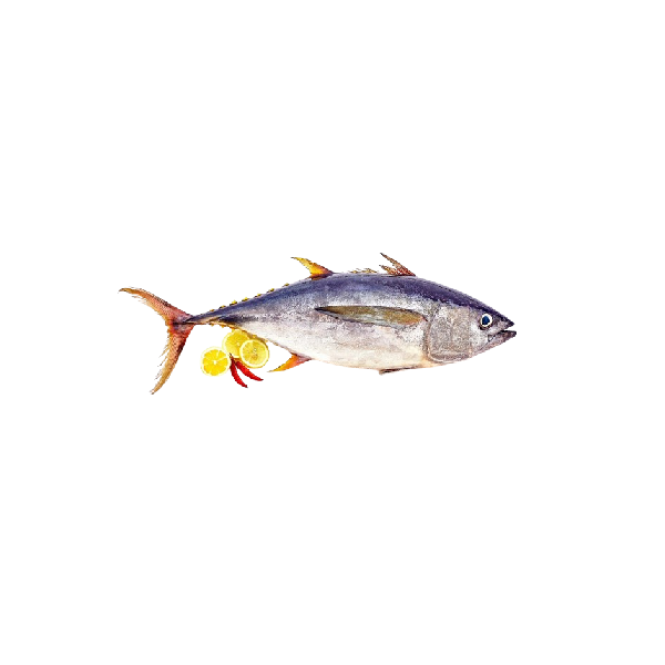 Choora, (Manja Kora/Kera/Yellowfin Tuna-Freshly Cut ) (500 g)