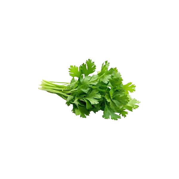 Coriander Leaf (1 bunch)