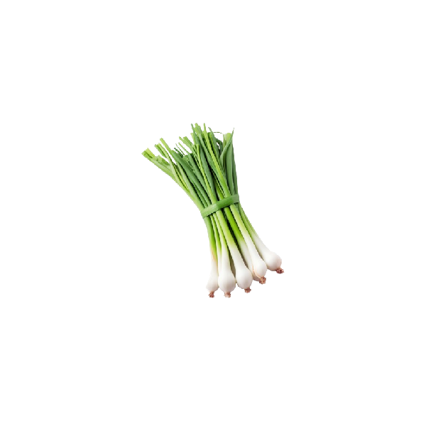 Spring Onion