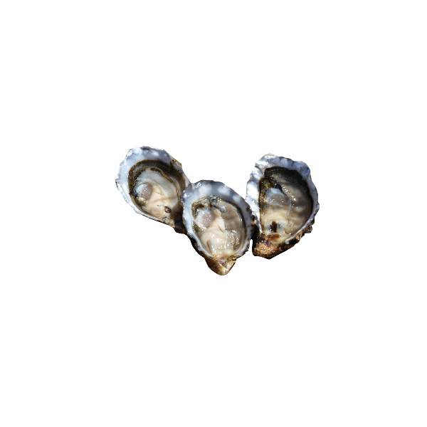 Oyster( 250 gm)