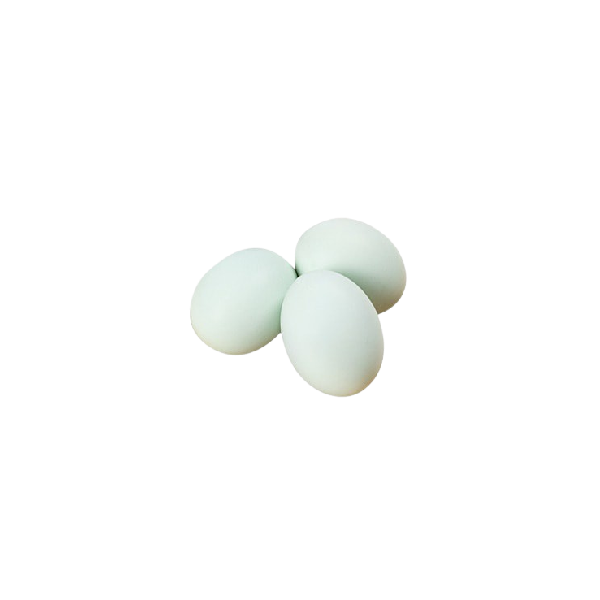 Duck Egg – Farm (10 Nos)