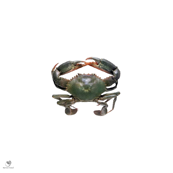 Crab (500g)